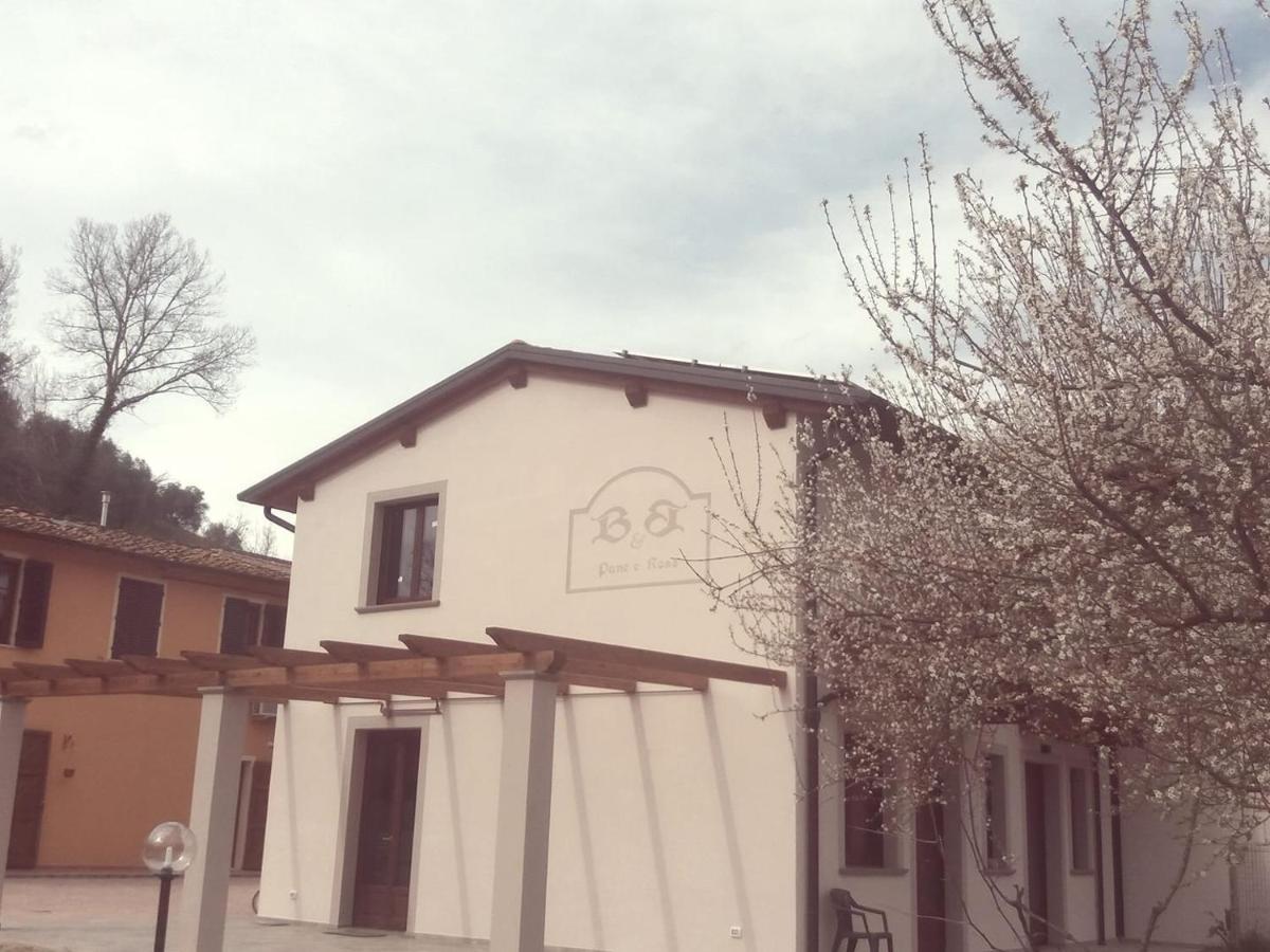 佩恩玫瑰住宿加早餐旅馆 圣米尼亚托 外观 照片