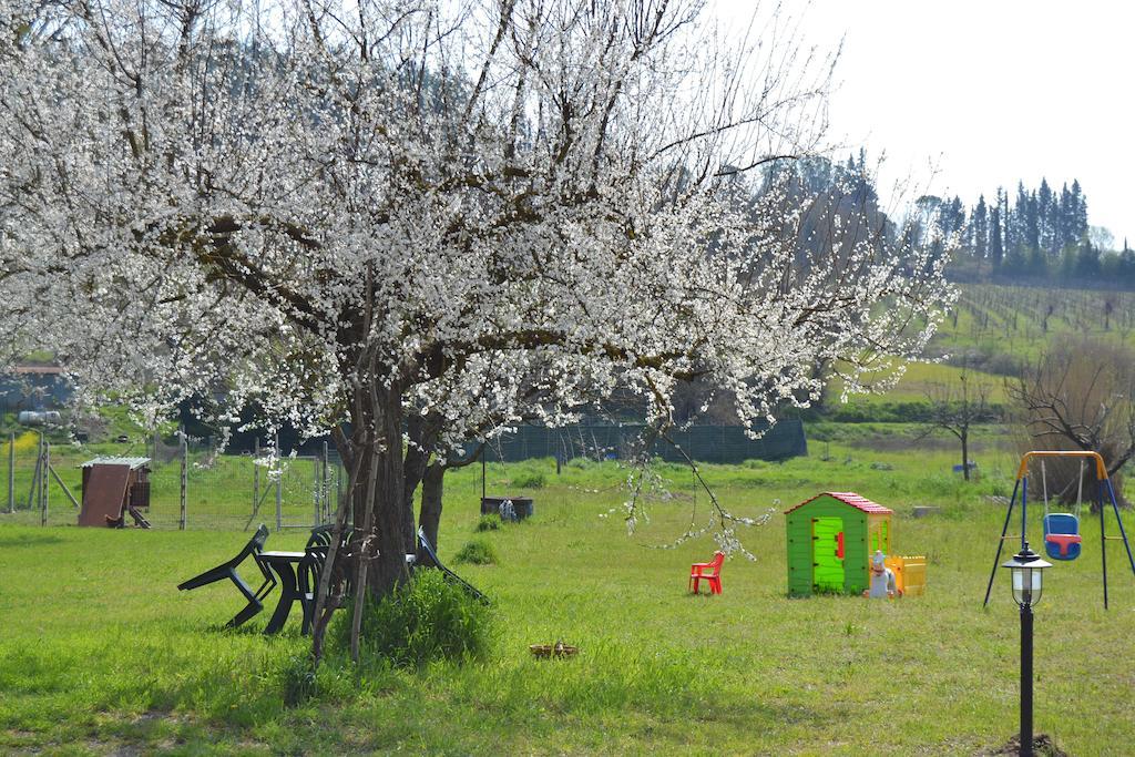 佩恩玫瑰住宿加早餐旅馆 圣米尼亚托 外观 照片